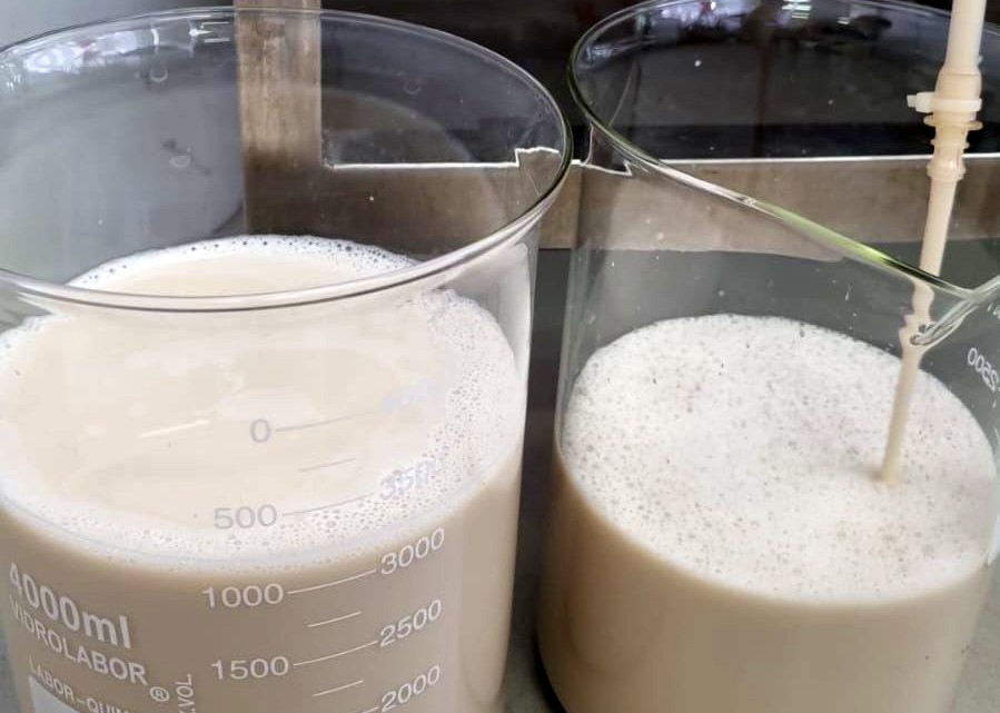 Future Cow: Produção de Proteínas do Leite Sem Vacas Através de Tecnologia Inovadora