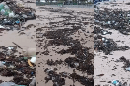 Moradores de Busca Vida se mobilizam para limpar praias e enfrentar chuvas