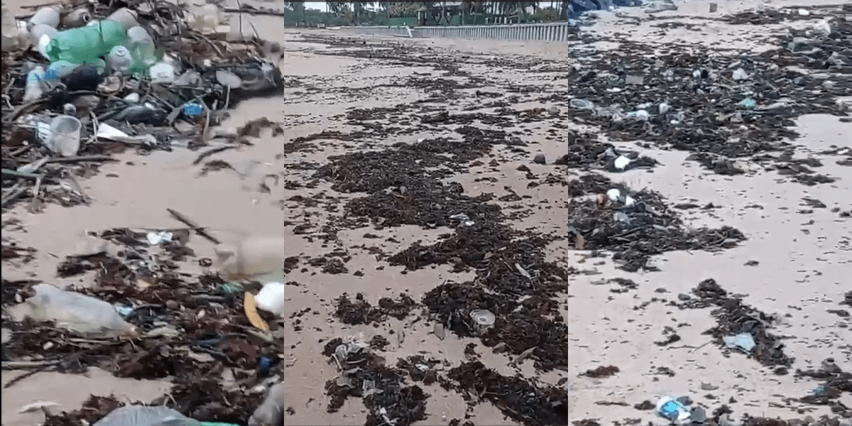 Moradores de Busca Vida se mobilizam para limpar praias e enfrentar chuvas