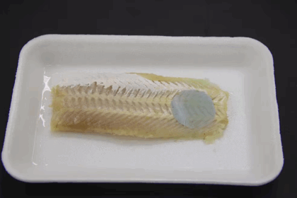 Embalagem inteligente muda de cor para avisar quando peixe está estragado