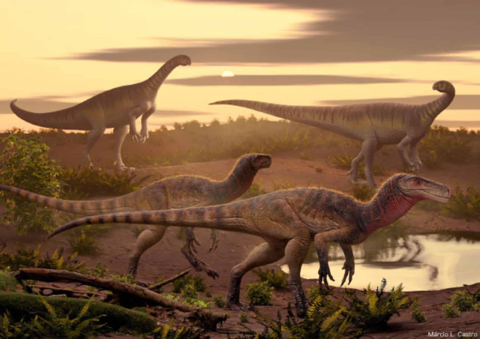 Predador do passado: nova espécie de velociraptor descoberta