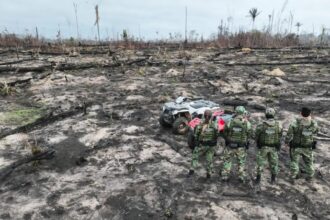 PF realiza Operação Incêndios 2025 contra queimadas e crimes ambientais