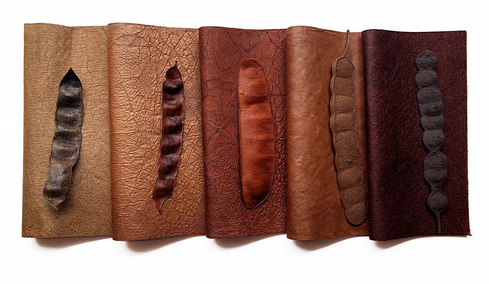 Mabe Bio: Inovação em Materiais Têxteis a Partir da Biodiversidade Brasileira