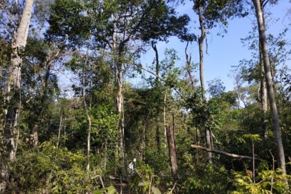 Impacto do Fogo e da Agricultura na Degradação do Solo na Amazônia Sul