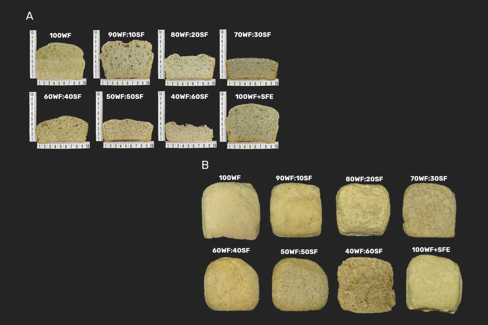 Farinha de Sementes de Girassol: O Segredo para um Pão Mais Proteico e Antioxidante