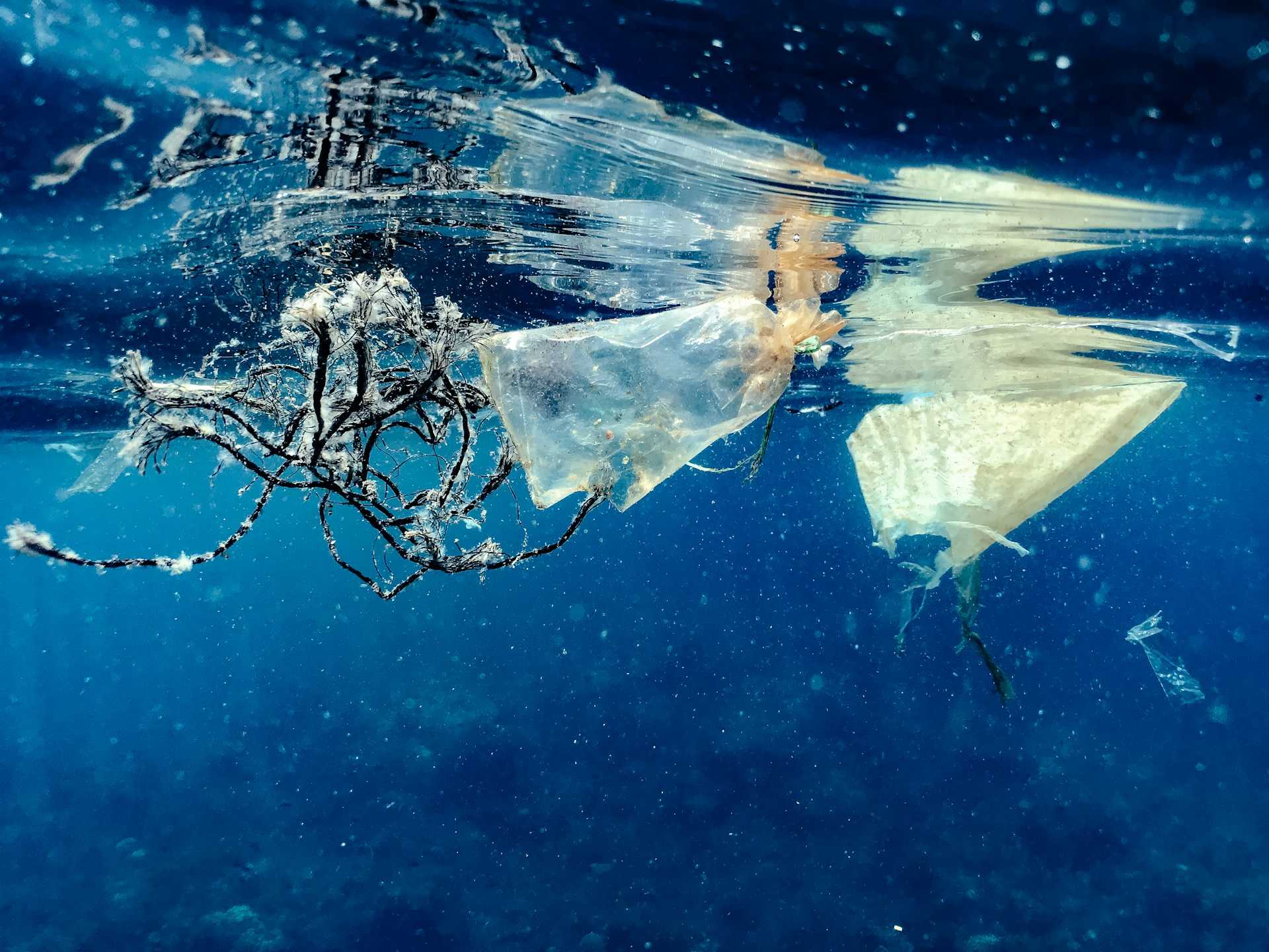 Impacto da Ocupação Desordenada das Praias Brasileiras: Dossiê da UFSCar Revela Dados Cruciais