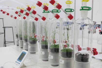 α-Copaeno: Um Potente Repelente Contra Insetos Transmissores do Greening em Citros