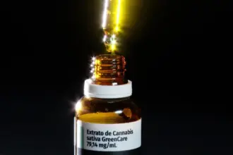Bahia promulga lei que garante fornecimento gratuito de medicamentos à base de canabidiol