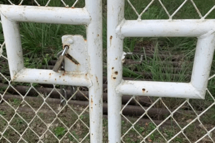 Criminosos atacam fazenda na Bahia e furtam carne avaliada em R$ 35 mil