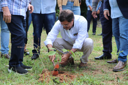 SDE promove plantio de árvore em ação alinhada à agenda internacional da ONU e combate à desertificação