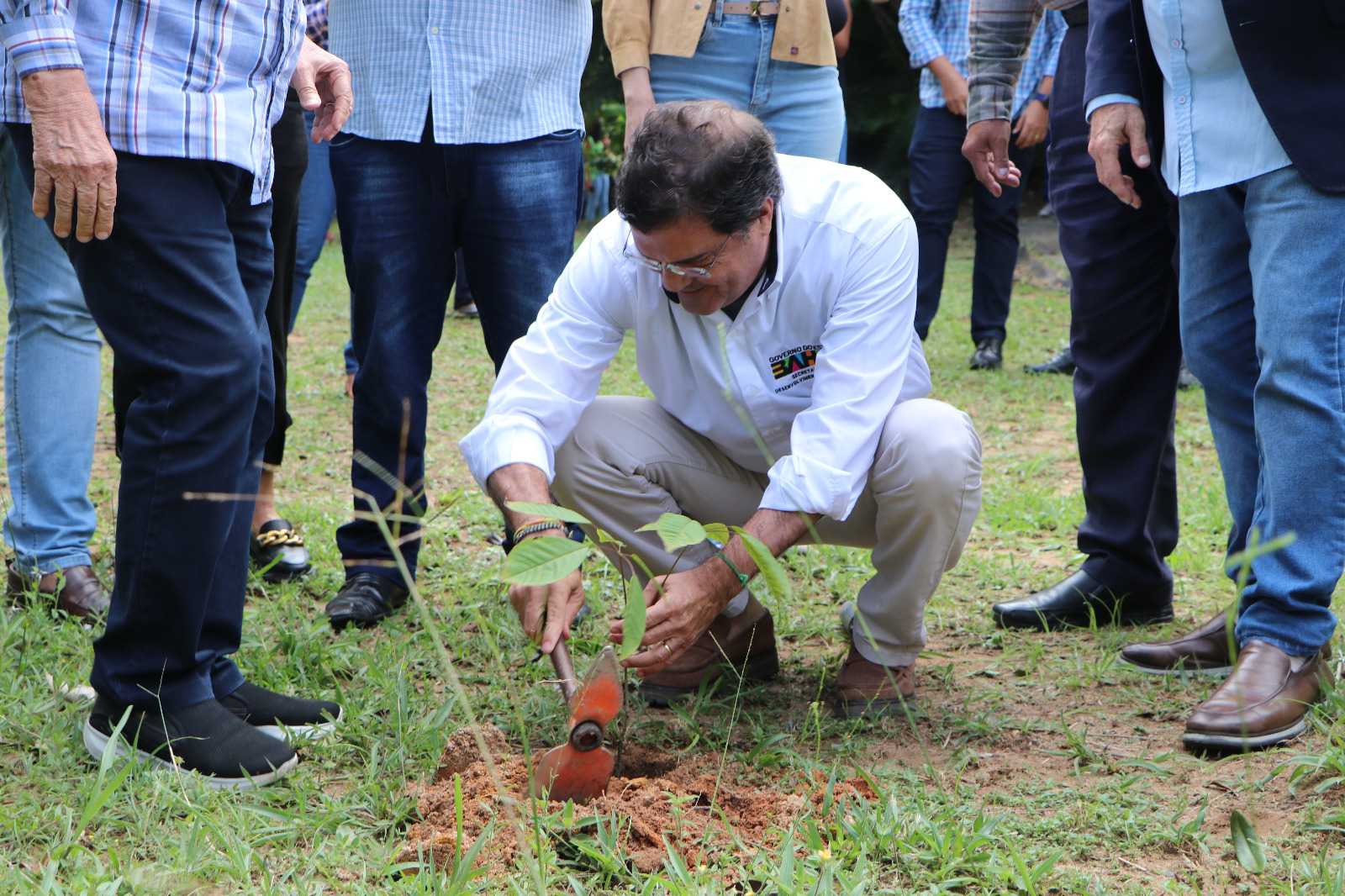 SDE promove plantio de árvore em ação alinhada à agenda internacional da ONU e combate à desertificação