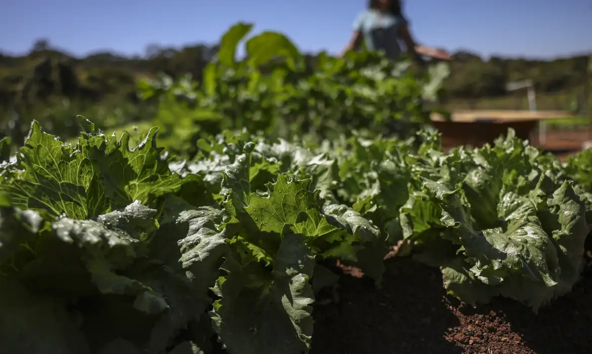 Parceria destina R$ 299 milhões para agricultura familiar na Bahia