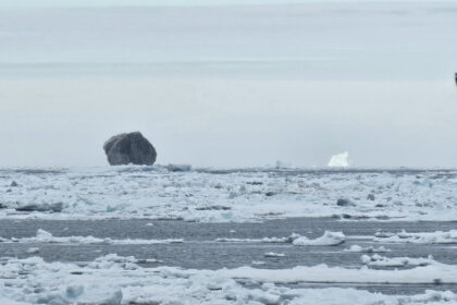 Você já viu um iceberg preto? Pescador faz registro impressionante