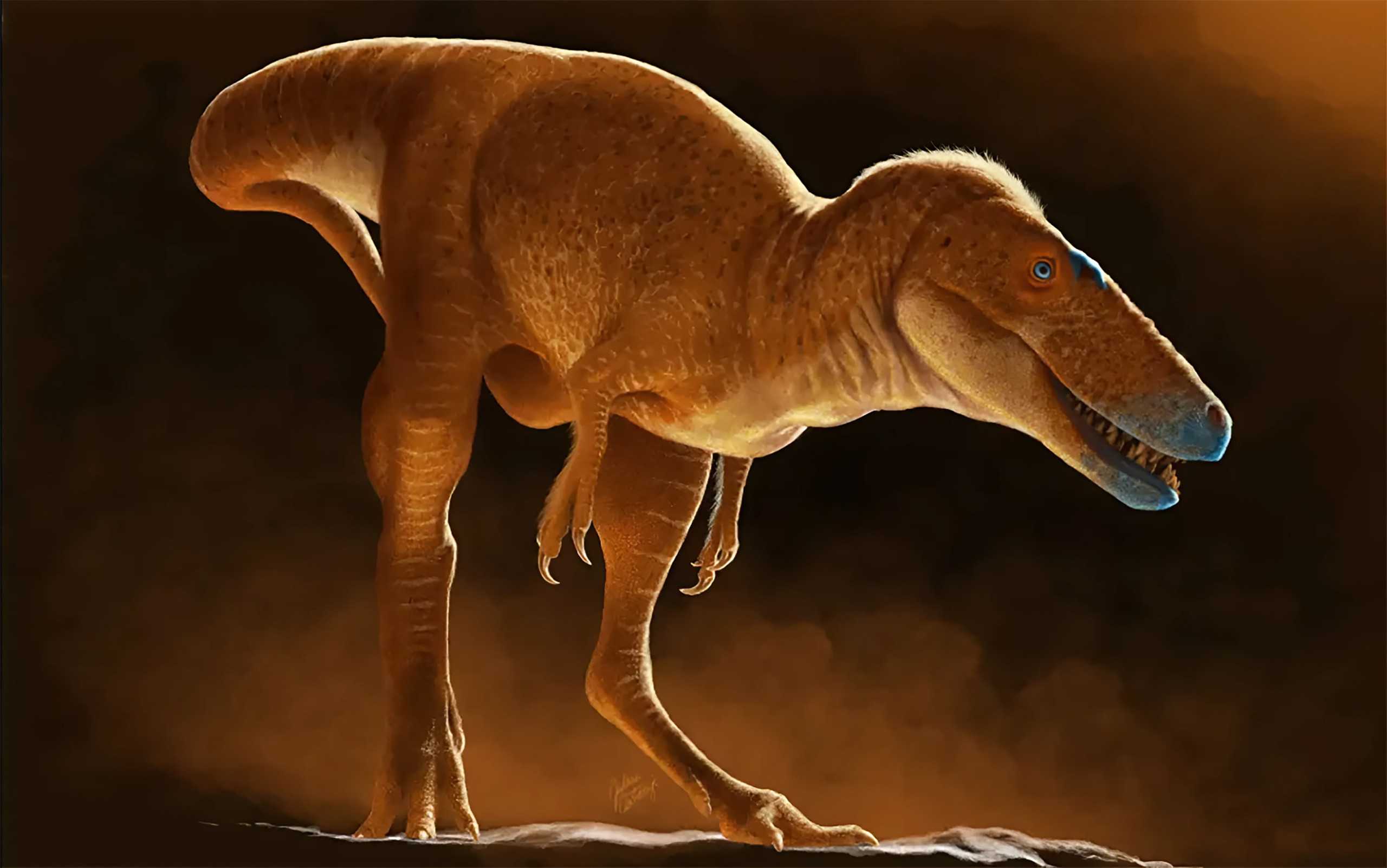 Novo dinossauro revoluciona teoria da origem do tiranossauro