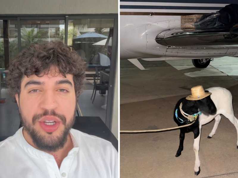 Presente Surpreendente de Fã Gera Confusão na Vizinhança!