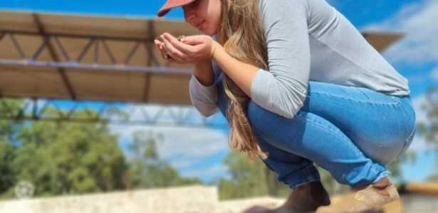 Transformação de Frutos Imaturos em Cafés Especiais: O Poder do Método de Fermentação