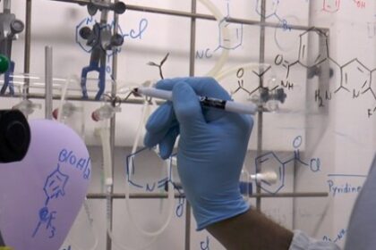 FAPESP e University of Birmingham anunciam nova oportunidade de propostas para pesquisas