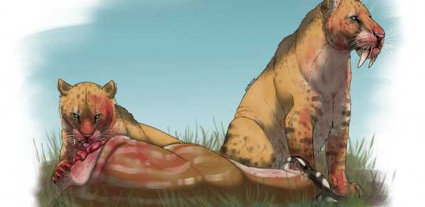 Como a Diminuição das Presas Contribuiu para a Extinção dos Tigres-Dentes-de-Sabre