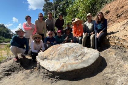 Descoberto Fóssil de Tartaruga Gigante no Acre: Revelações sobre o Passado