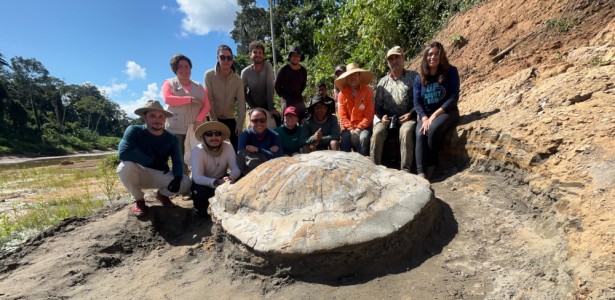 Descoberto Fóssil de Tartaruga Gigante no Acre: Revelações sobre o Passado