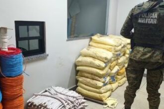 Polícia apreende quase uma tonelada de explosivos na Bahia