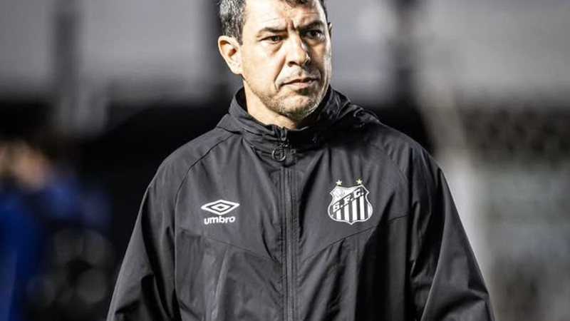 Atual elenco do Vitória tem jogadores que já atuaram com Fábio Carille, novo técnico do clube