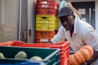 Estratégia Alimenta Cidades: 18 municípios do RS recebem apoio