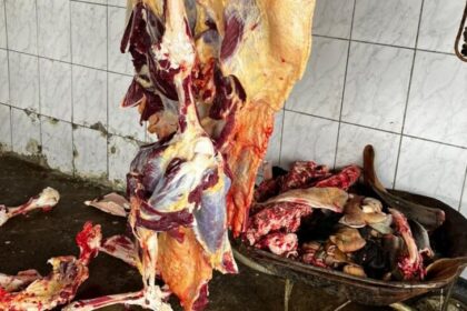 Polícia apreende 1,5 tonelada de carne clandestina na Bahia