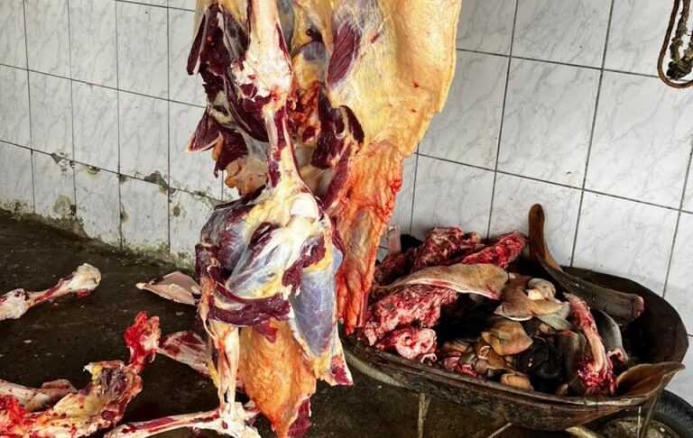 Polícia apreende 1,5 tonelada de carne clandestina na Bahia