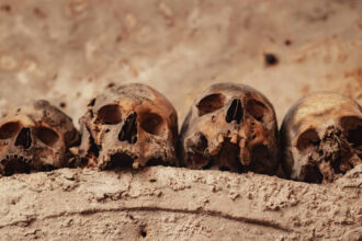 DNA ancestral revela quando animais começaram infectar humanos