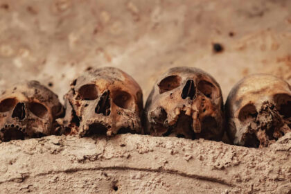 DNA ancestral revela quando animais começaram infectar humanos