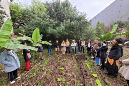 Gestores se capacitam para impulsionar Agricultura Urbana nos municípios
