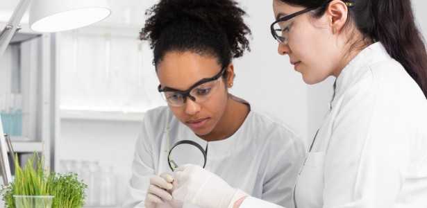 Última Chamada: Inscrições para o Programa Aristides Pacheco Leão de Estímulo a Vocações Científicas Encerram na Próxima Semana