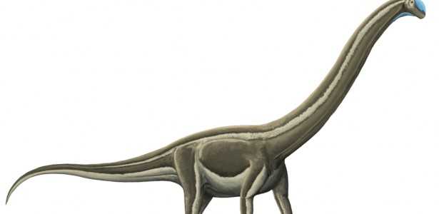 Descoberta de Doença Óssea Mortal que Dizimou Dinossauros Pescoçudos no Interior de São Paulo