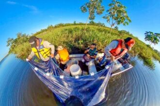 Como a Perda de Áreas Naturais e a Introdução de Espécies Exóticas Afetam a Pesca no Rio Paraná