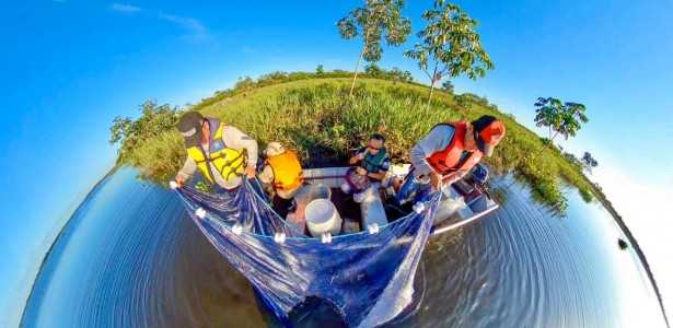 Como a Perda de Áreas Naturais e a Introdução de Espécies Exóticas Afetam a Pesca no Rio Paraná