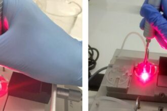 Pesquisa Revela que Laser Pode Combater Hipertensão Relacionada à Menopausa em Animais