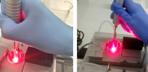 Pesquisa Revela que Laser Pode Combater Hipertensão Relacionada à Menopausa em Animais