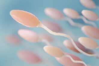 Como a Falta de Proteína na Gravidez e Lactação Afeta a Viabilidade dos Espermatozoides