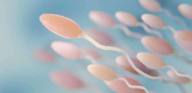 Como a Falta de Proteína na Gravidez e Lactação Afeta a Viabilidade dos Espermatozoides