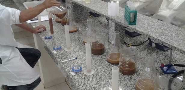 Como Manter a Qualidade dos Derivados da Cana-de-Açúcar 24 Horas Após a Colheita