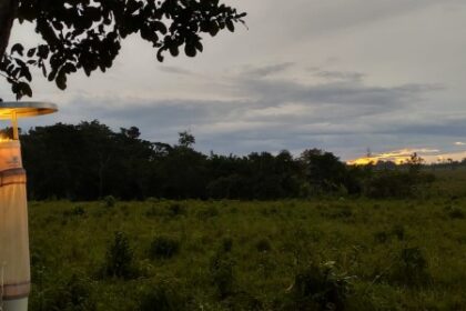 Risco de Malária na Amazônia: Aumento em Regiões Parcialmente Degradadas