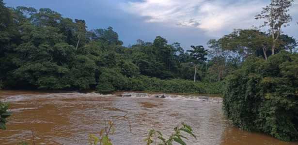 Bactéria Amazônica Relacionada à Causadora da Bartonelose Humana é Descoberta