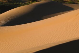 Como Estimar a Força Sobre Cada Grão de Areia em Dunas: Uma Nova Técnica