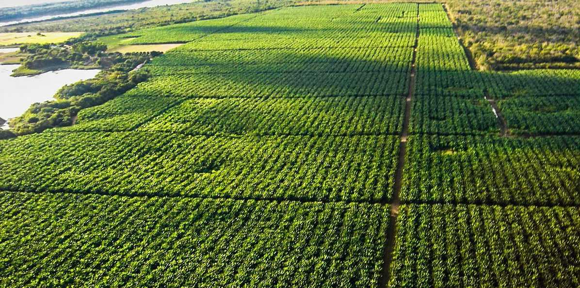 Pessimismo com Fiagro é exagerado; especialistas indicam governança