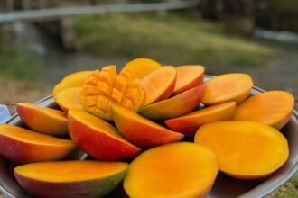 Tarifaço Impacta Produção de Café, Carne, Suco e Frutas no Agro