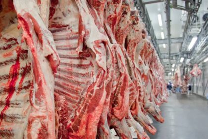 Carne bovina brasileira bate recorde de exportação em agosto