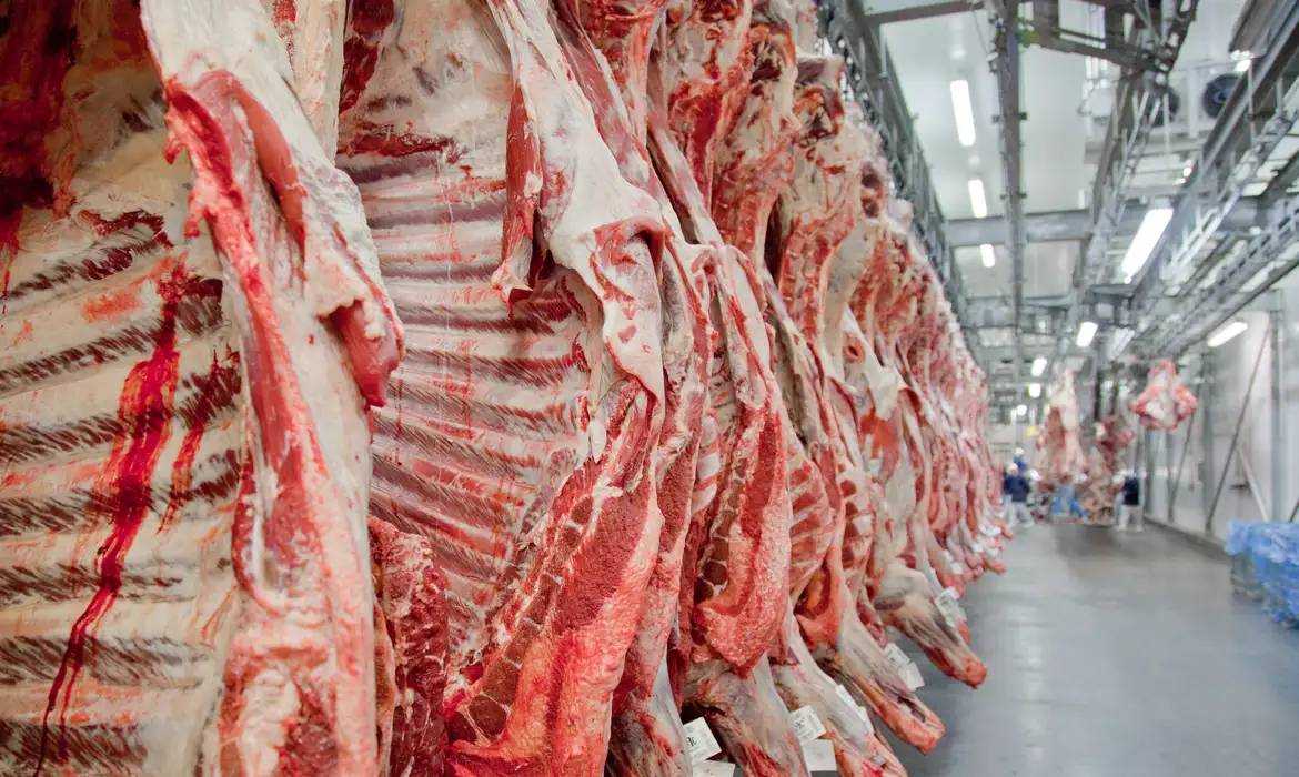 Carne bovina brasileira bate recorde de exportação em agosto