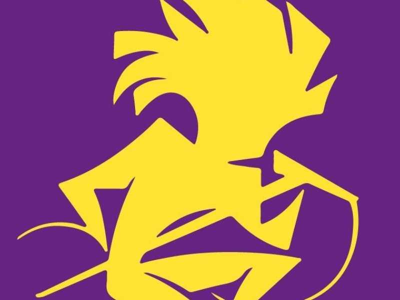 Festival de Verão Cancelado: Descubra o Motivo Surpreendente!