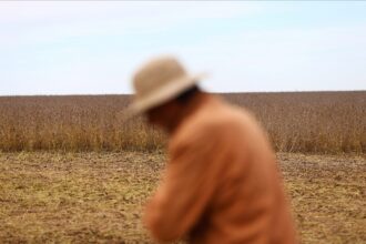 Exportação de Grãos: Argentina Fatura US$ 7 Bi em 72 Horas
